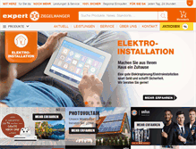 Tablet Screenshot of expert-ziegelwanger.at